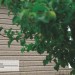 Сайдинг Ю-Пласт TIMBERBLOCK Пихта (Тимберблок) Cахалинская купить в Таганроге