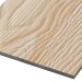 Фиброцементные панели FCSPRO Decor Wood Лиственница купить в Таганроге