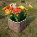 Цветник КАНЬОН купить в Таганроге