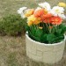 Цветник КАНЬОН купить в Таганроге